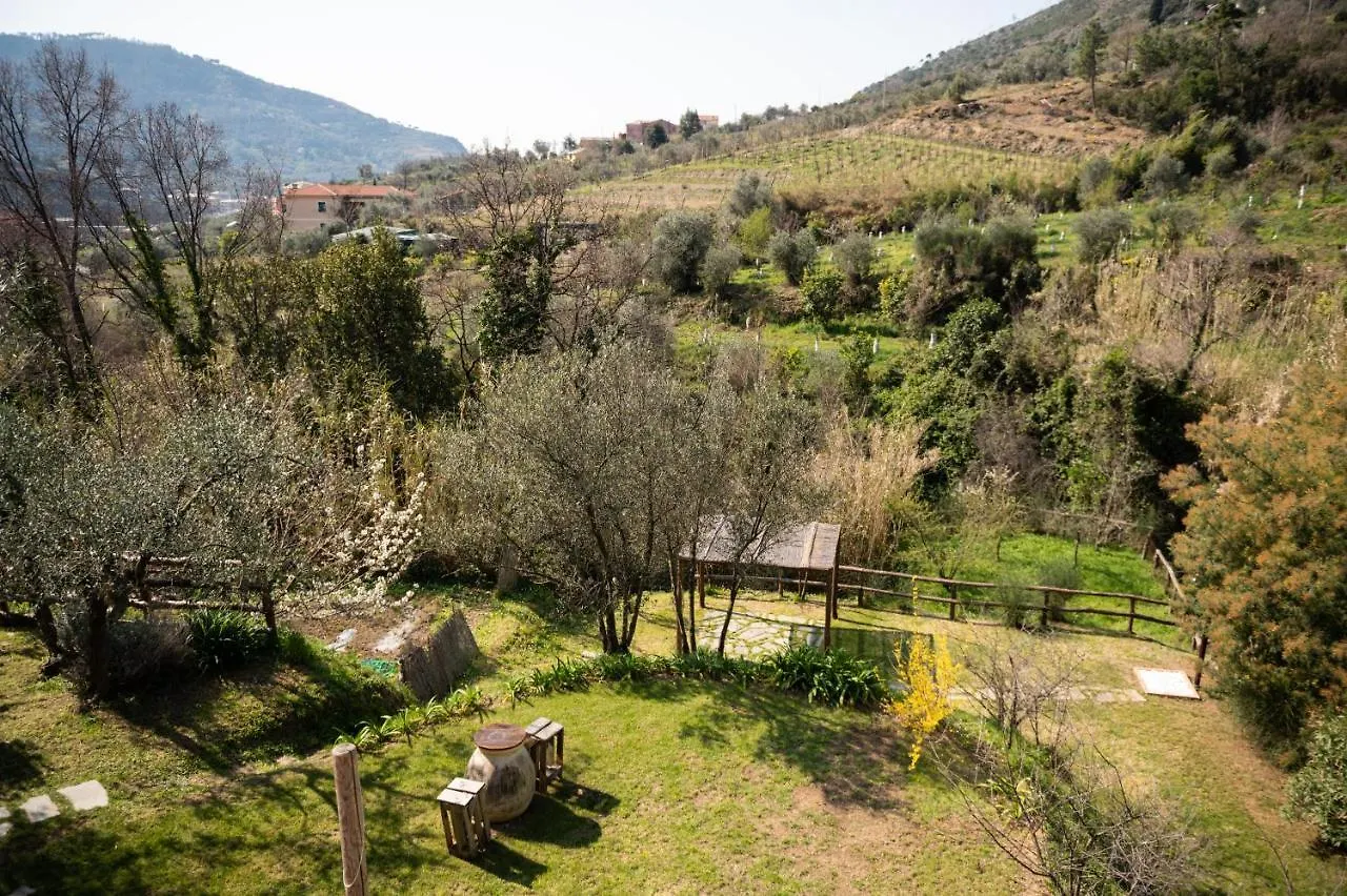 Bed & Breakfast Amandolevanto B&B
