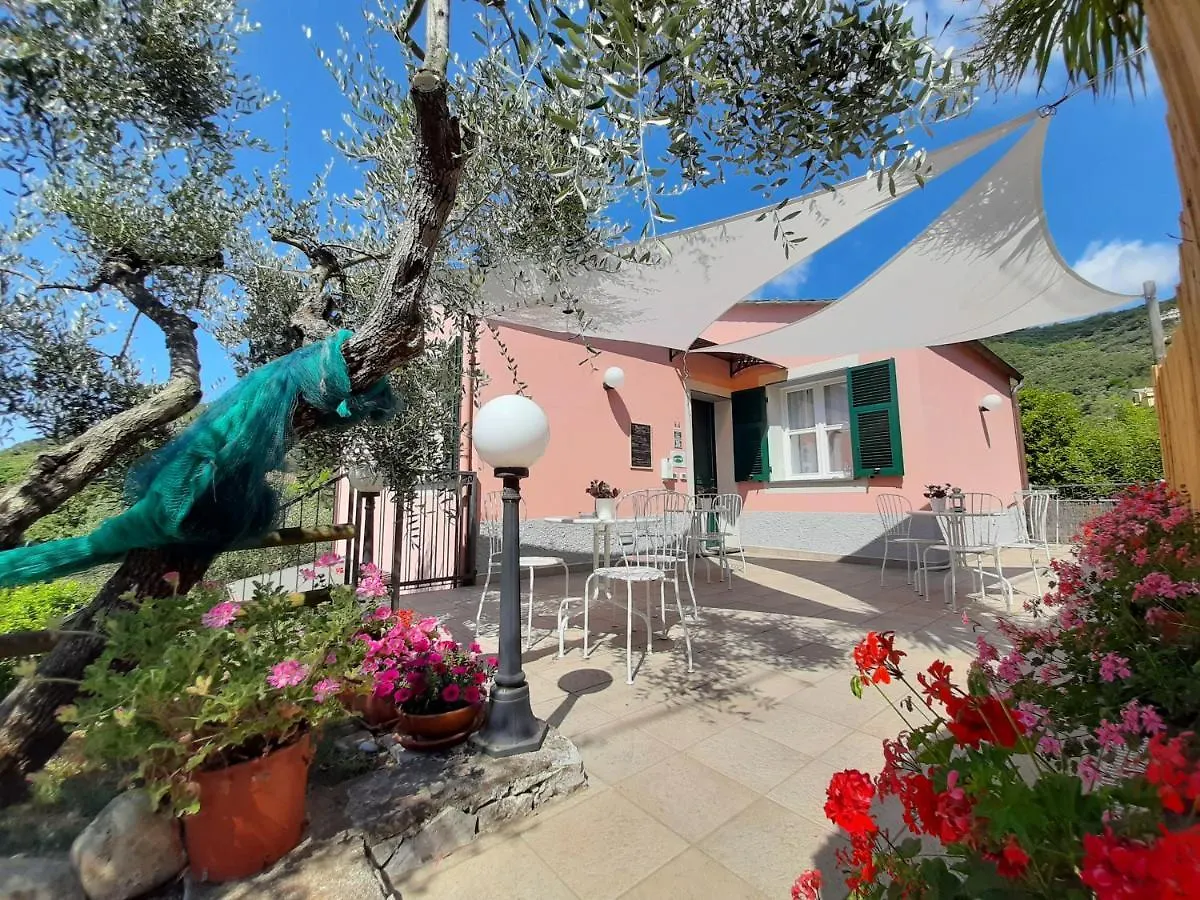 Amandolevanto B&B contacts