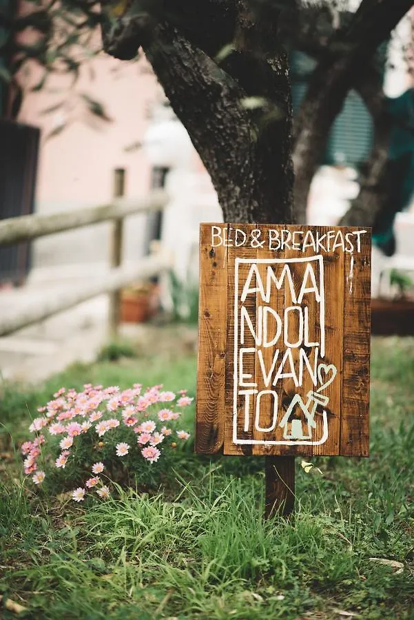 Bed & Breakfast Amandolevanto B&B